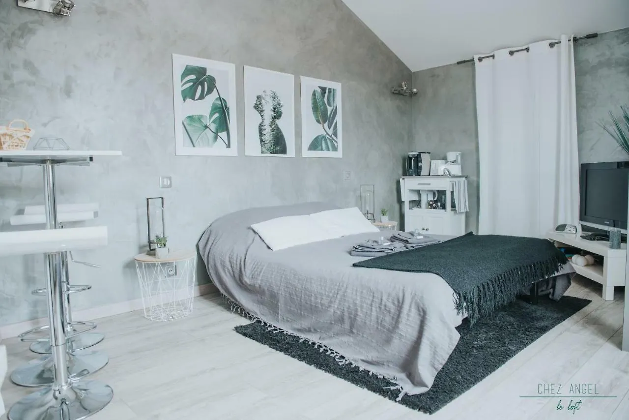 Chez Angel Apartment Varennes-sur-Morge